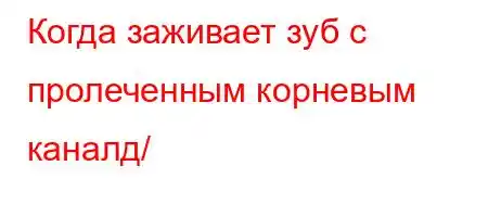 Когда заживает зуб с пролеченным корневым каналд/